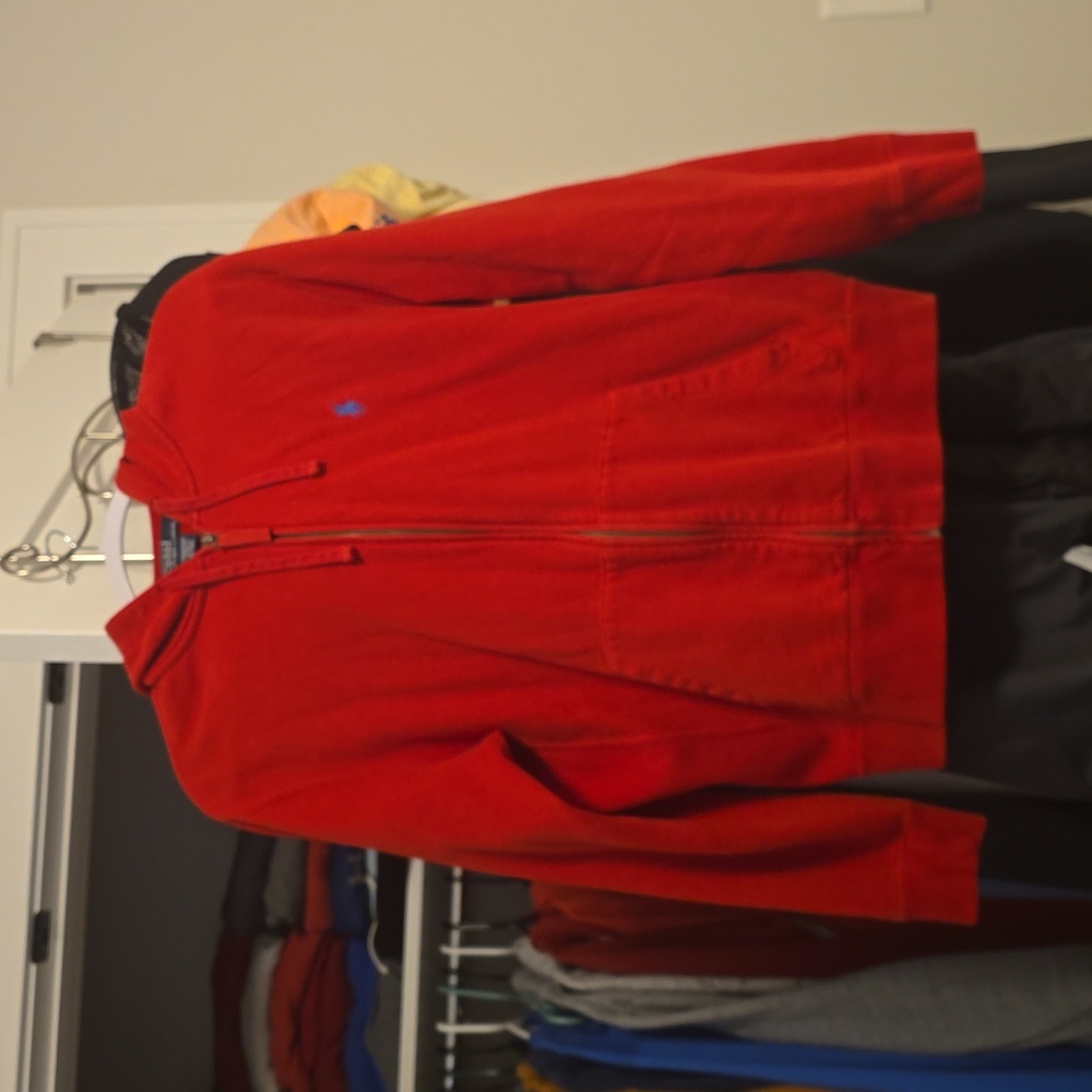 Ralph lauren polo hoodie